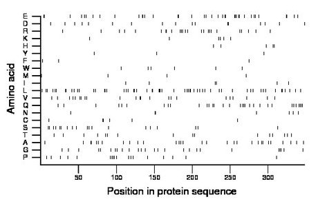 amino acid map