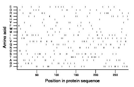 amino acid map