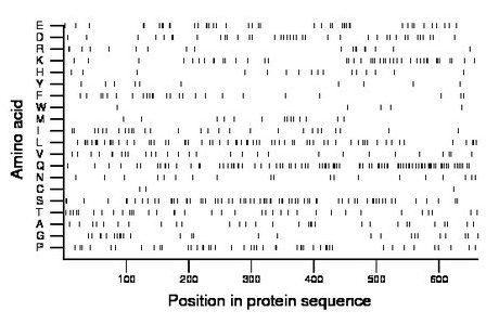 amino acid map