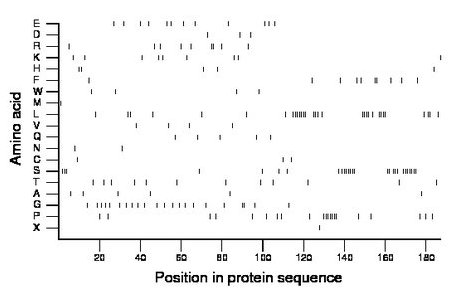 amino acid map