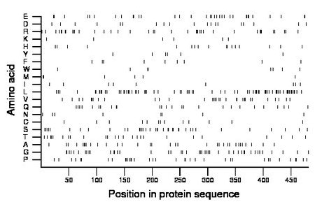 amino acid map