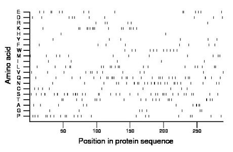 amino acid map