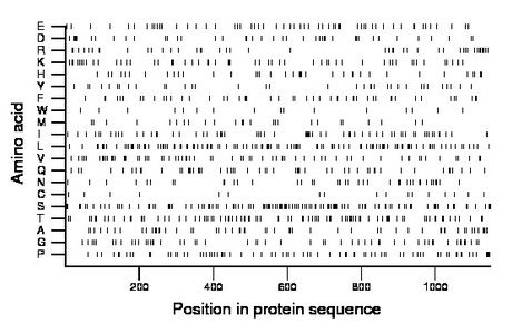 amino acid map