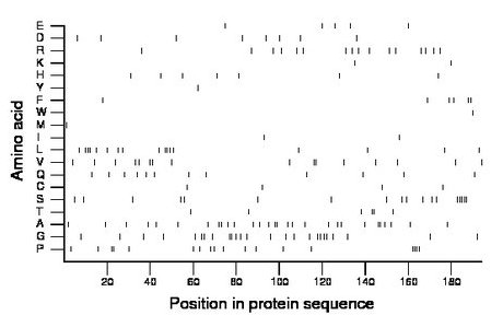 amino acid map