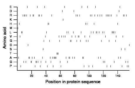 amino acid map