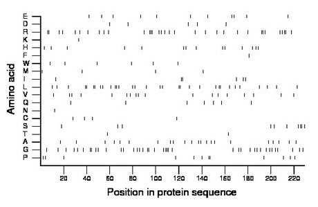 amino acid map