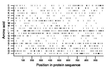 amino acid map