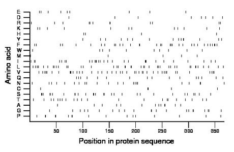 amino acid map