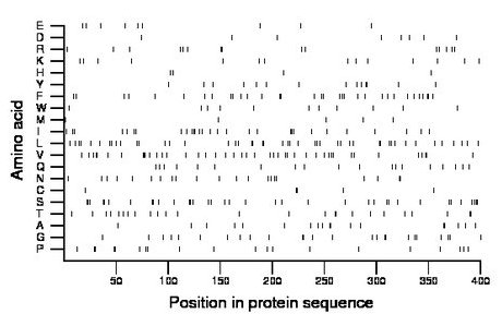 amino acid map