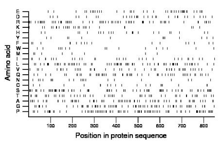 amino acid map