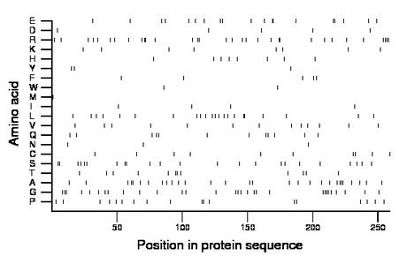 amino acid map