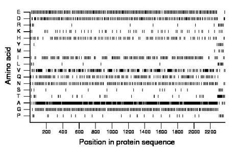 amino acid map