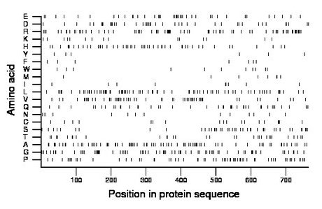 amino acid map