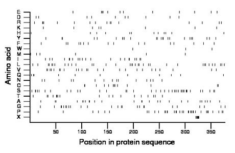 amino acid map