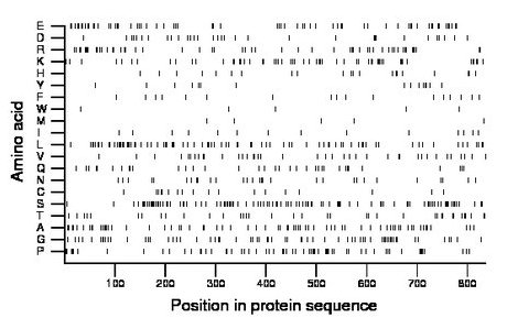 amino acid map