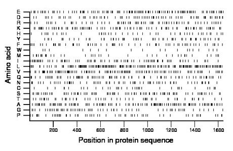 amino acid map