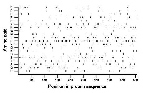 amino acid map