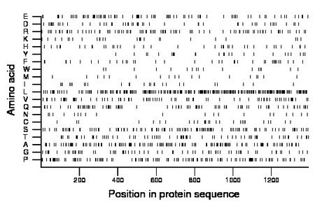 amino acid map