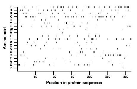 amino acid map