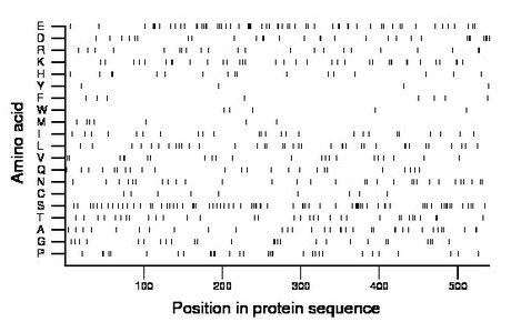 amino acid map