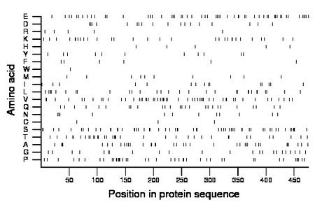 amino acid map