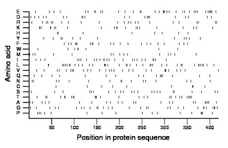 amino acid map