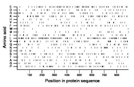 amino acid map