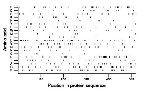 amino acid map