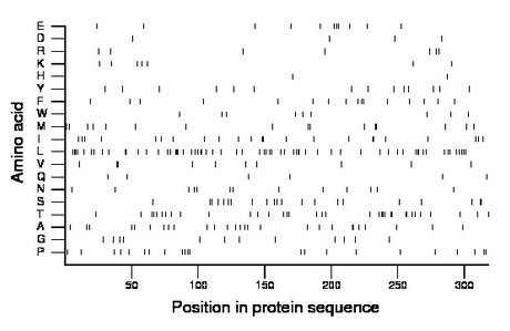 amino acid map