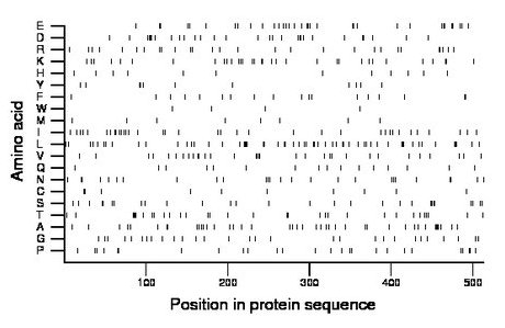 amino acid map