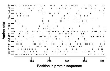 amino acid map