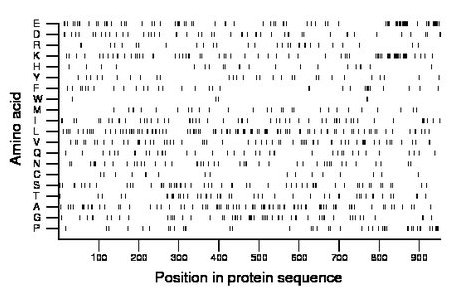 amino acid map