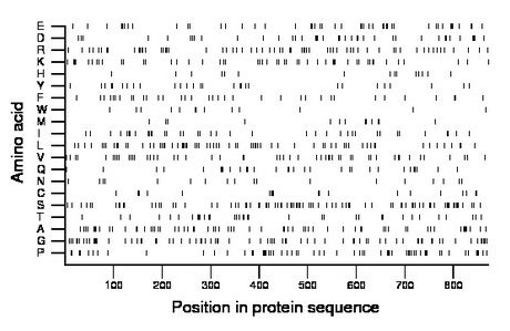 amino acid map