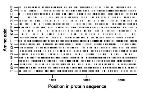 amino acid map