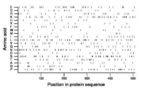 amino acid map