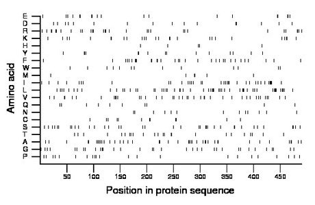 amino acid map