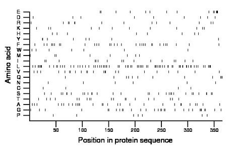 amino acid map