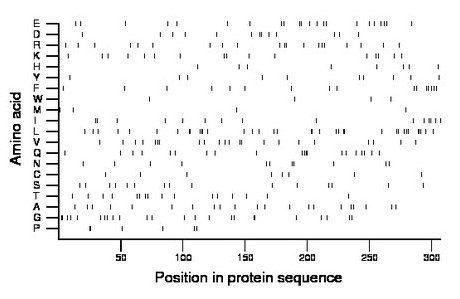 amino acid map