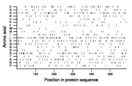 amino acid map