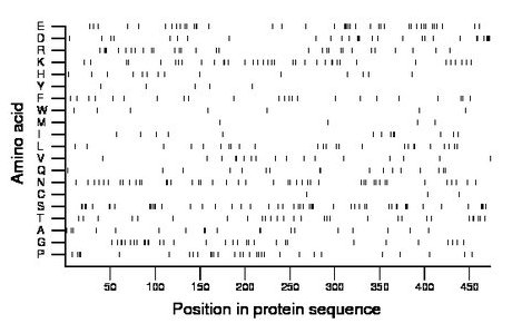 amino acid map