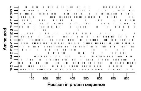 amino acid map