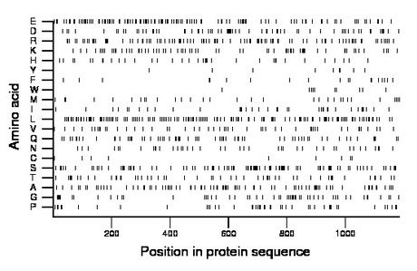 amino acid map