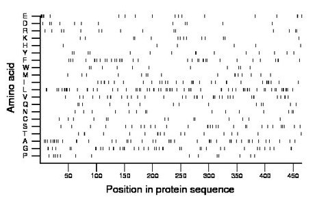 amino acid map