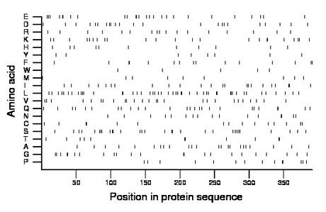 amino acid map