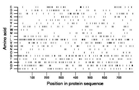 amino acid map