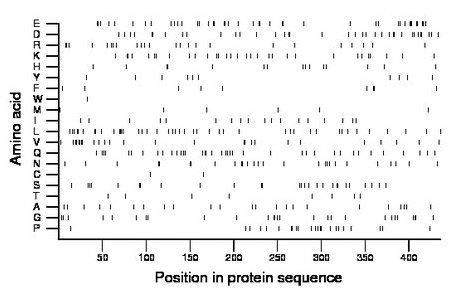 amino acid map