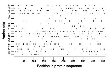 amino acid map