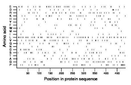 amino acid map