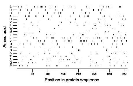 amino acid map