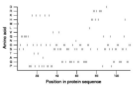 amino acid map